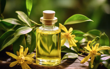 Zoomed in picture of the yellow ylang ylang plant. 