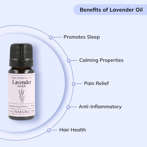Lavender Oil | French