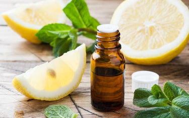 Eight sliced lemons on a white background.