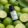 Lime Essential Oil