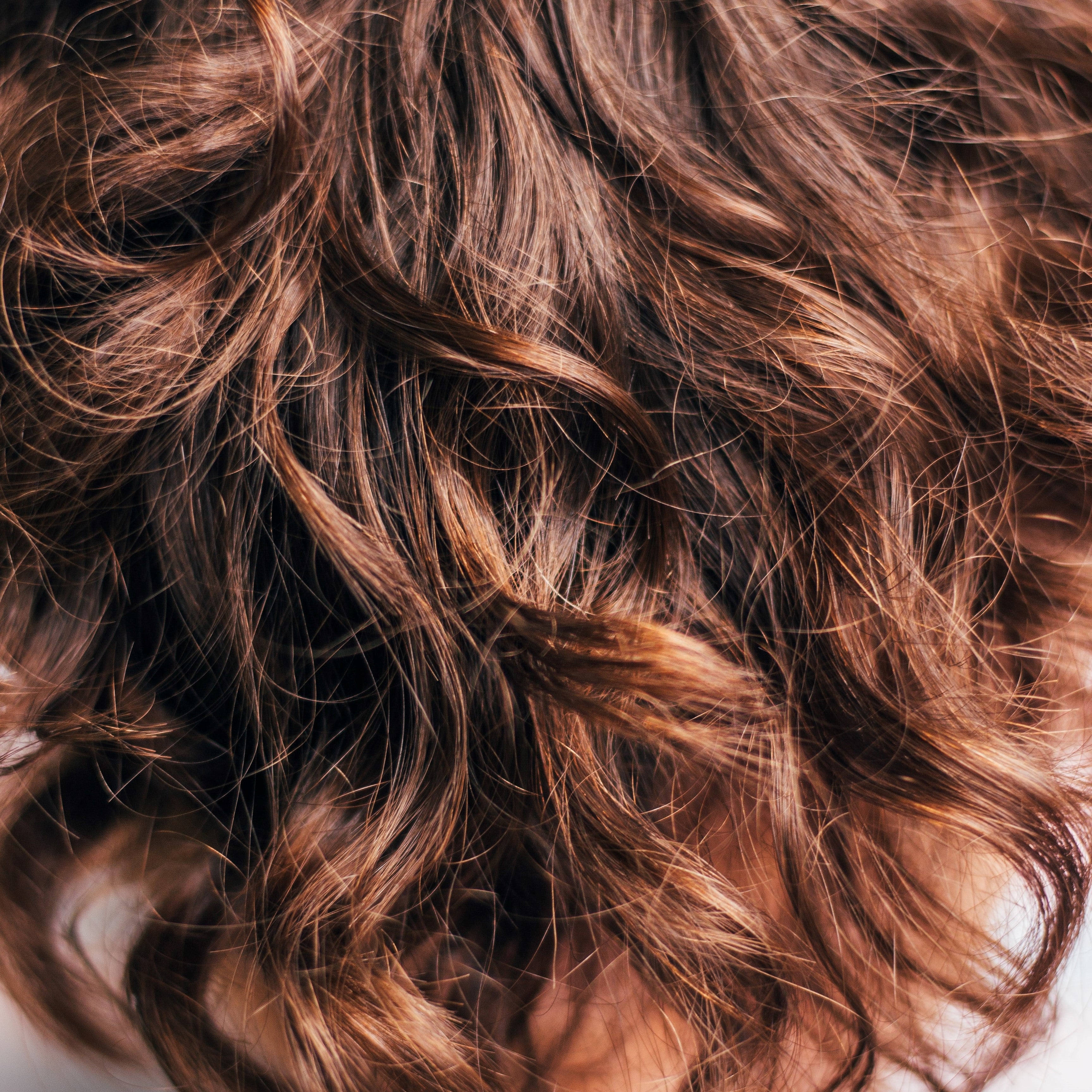 Close up of brunette hair.