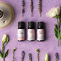 Relaxing Moments Essential Oil Blends Set | 3x10ml
